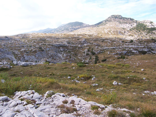Monte Ortigara, quota 2101: il campo di battaglia.