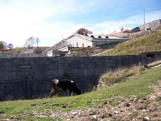 Esterno del forte con mucca al pascolo